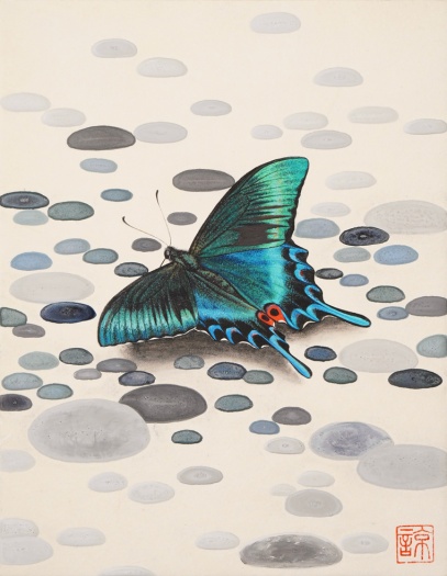 Wet gravel (ミヤマカラスアゲハ)