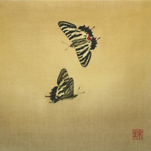 春　陽（ギフチョウ）